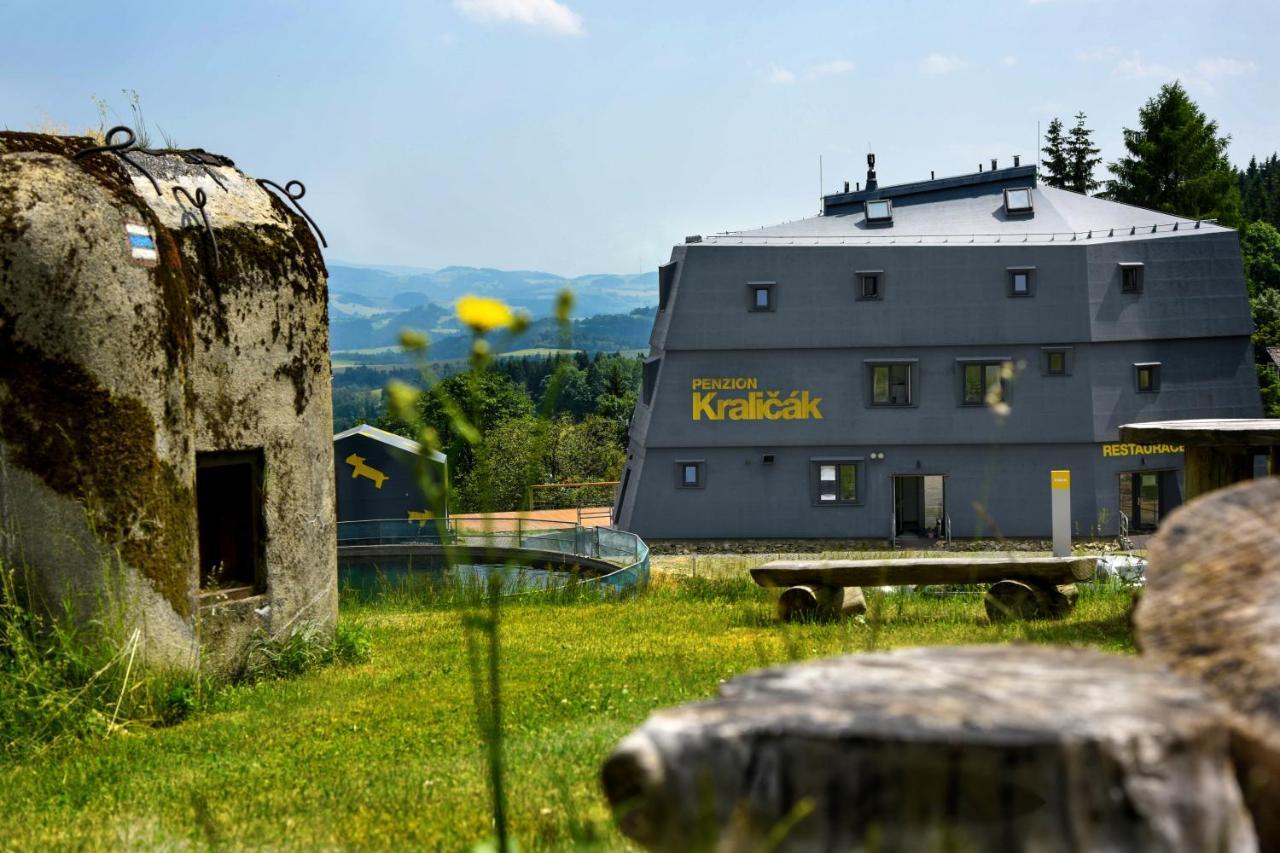 Penzion Kralicak Staré Město Екстериор снимка